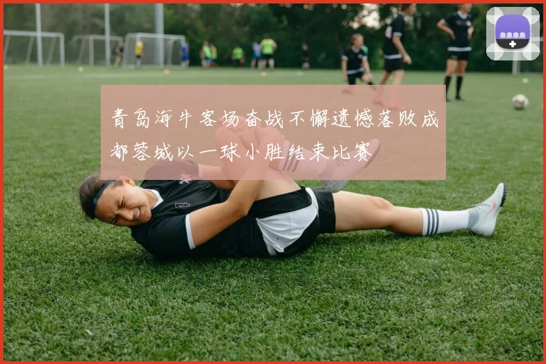 青岛海牛客场奋战不懈遗憾落败成都蓉城以一球小胜结束比赛