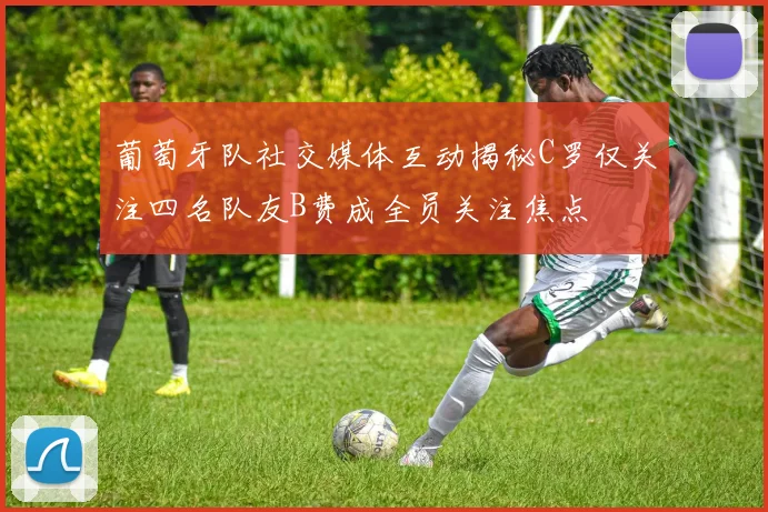 葡萄牙队社交媒体互动揭秘C罗仅关注四名队友B费成全员关注焦点